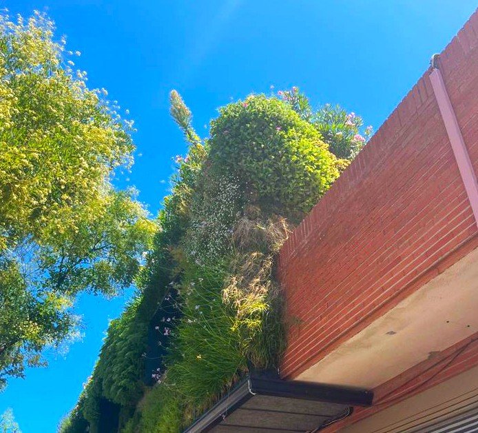 Jardín vertical muro verde