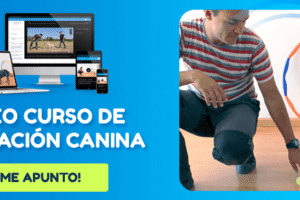 Formadogs opiniones: ¿merece la pena este curso?